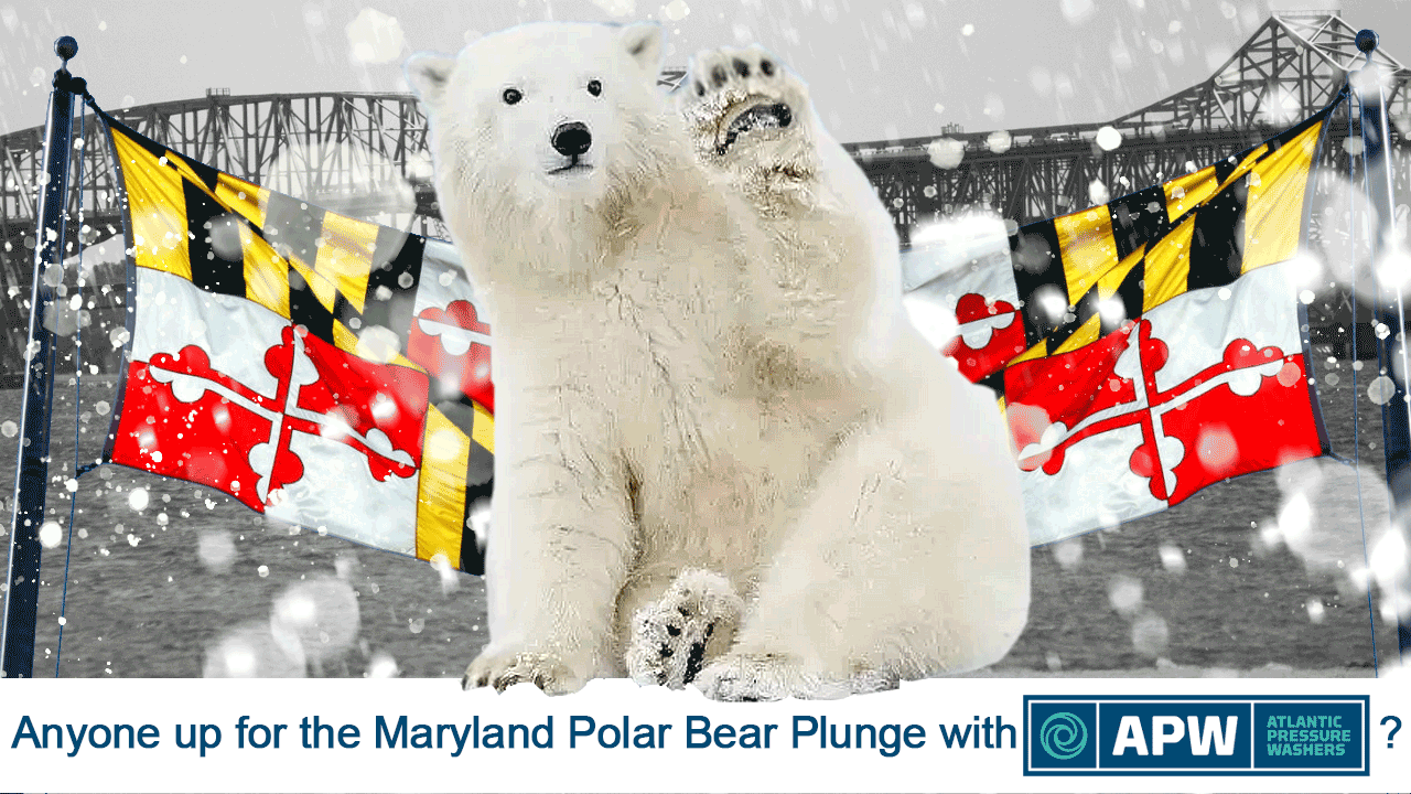 Join APW for the 2022 Maryland Polar Bear Plunge - Donations help support the MD Special Olympics